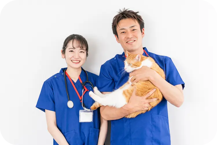 動物病院スタッフと猫